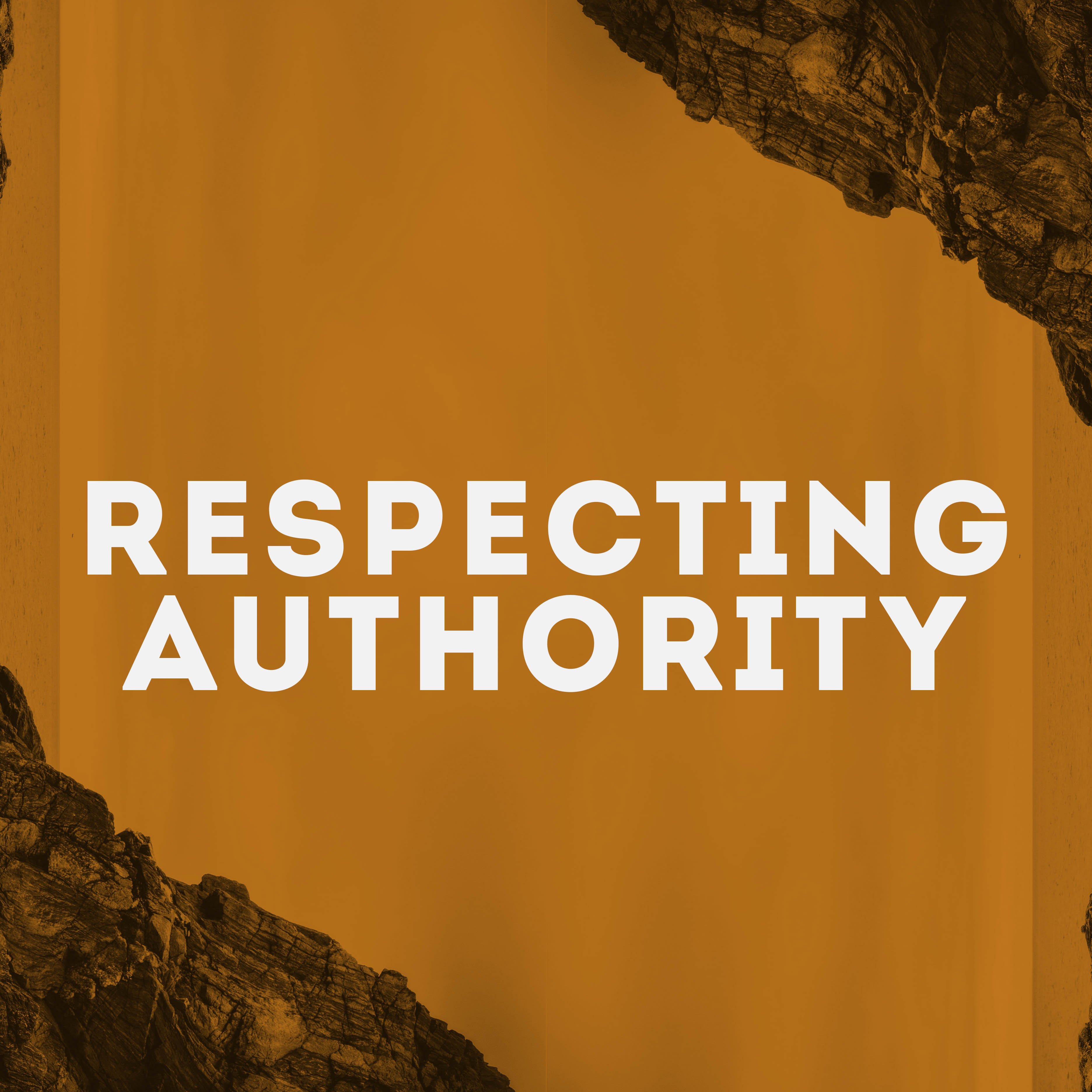 essay on respecting authority